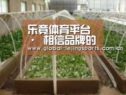 环境展示五
