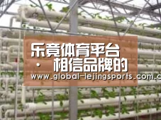 环境展示六