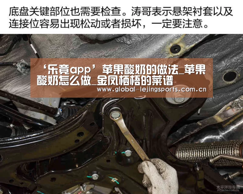 ‘乐竟app’苹果酸奶的做法_苹果酸奶怎么做_金凤栖梧的菜谱(图2) 乐竟官网