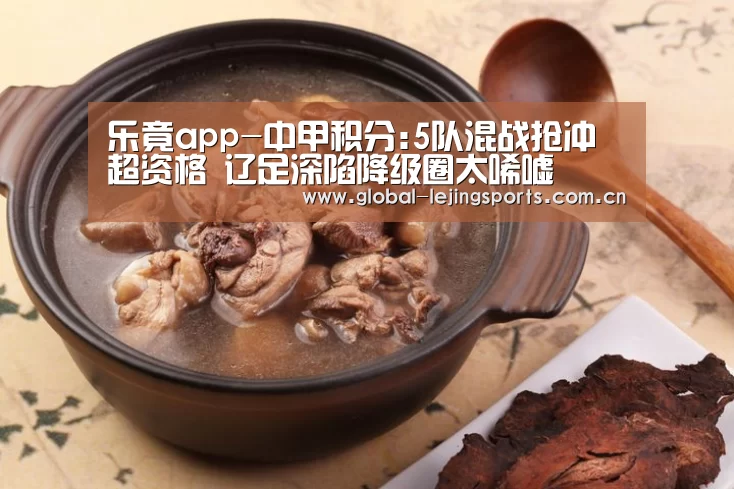 乐竟app-中甲积分:5队混战抢冲超资格 辽足深陷降级圈太唏嘘(图2) 乐竟体育